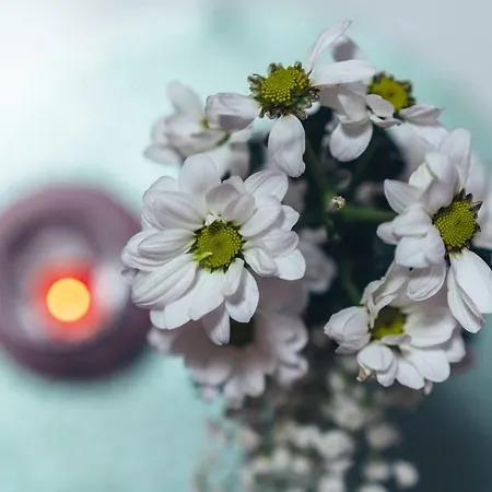 Aracic 公寓 索林